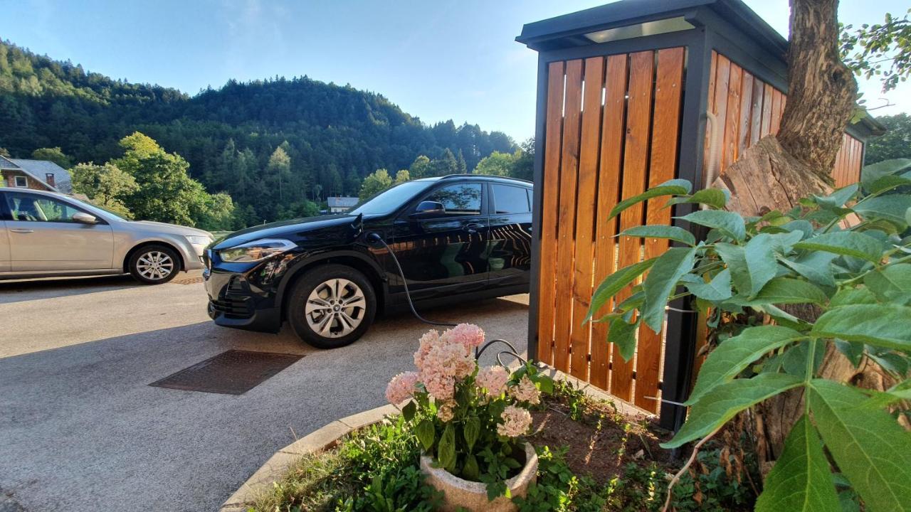 Apartments Tourist Farm Storman With Ev Ch-Station Tržič Exterior foto