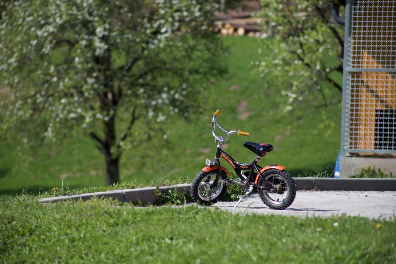 Apartments Tourist Farm Storman With Ev Ch-Station Tržič Exterior foto